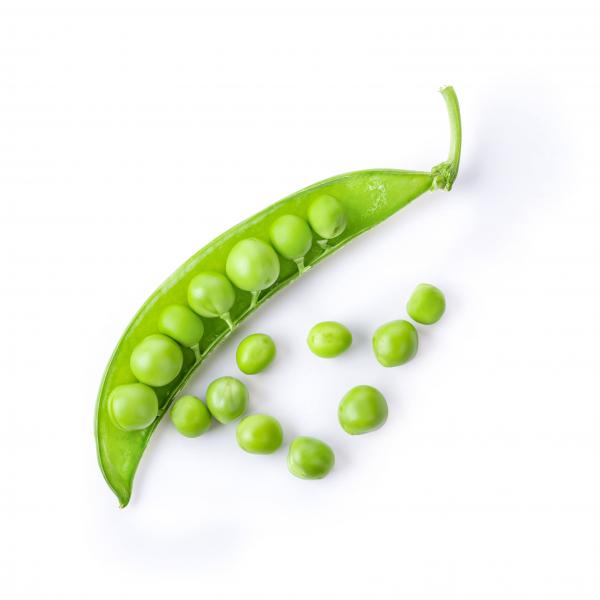 Erbsen 