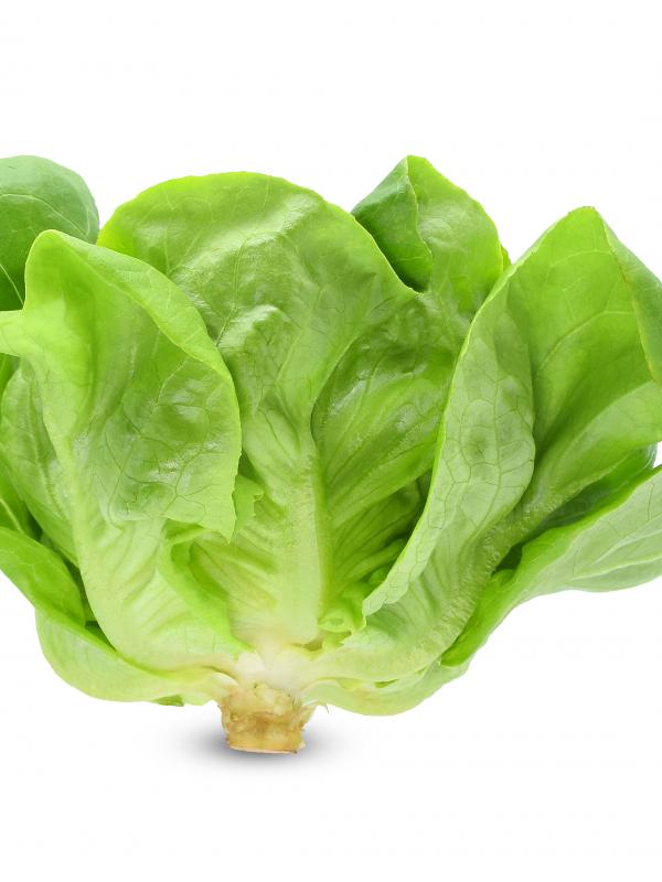 Kopfsalat