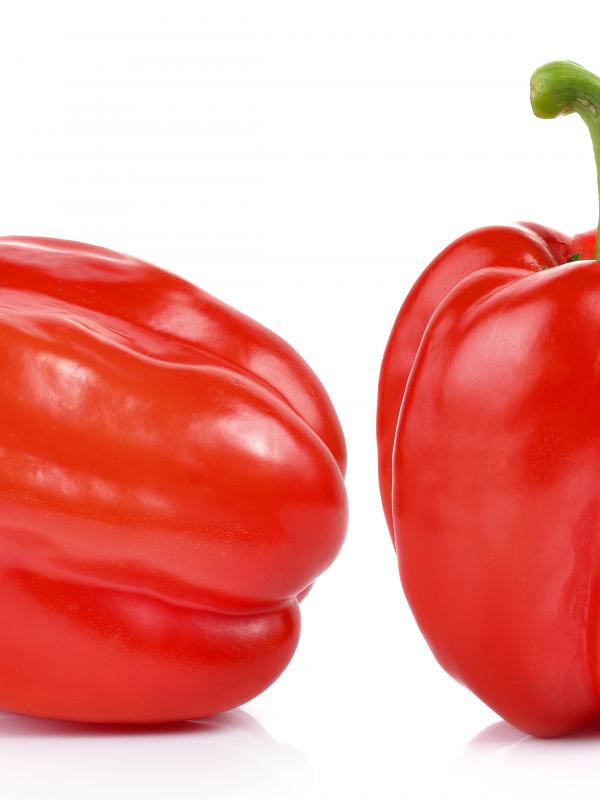 Paprika