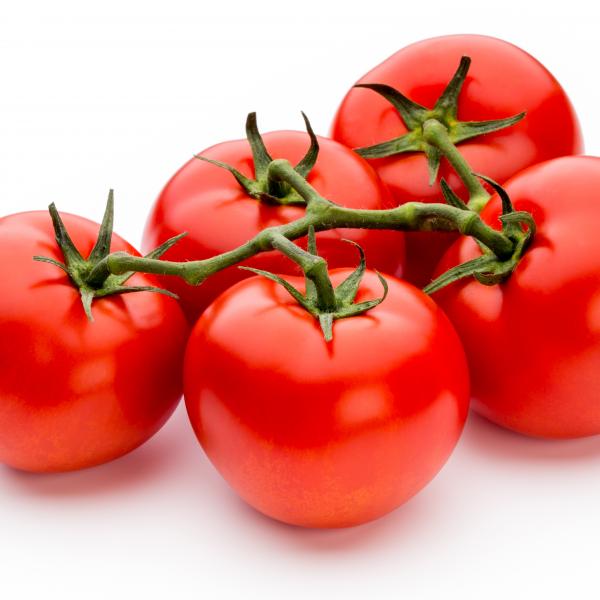 Tomaten